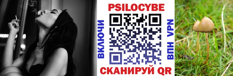 Псилоцибиновые грибы мухоморы  Олонец 
